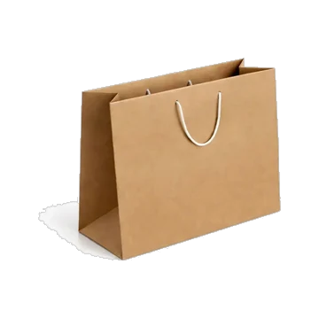 Carton Gift Bag (Large)