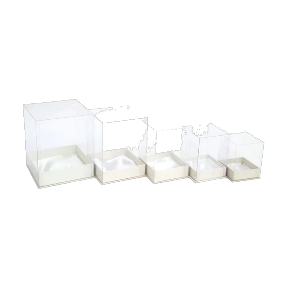 Clear Cube Box With Base
