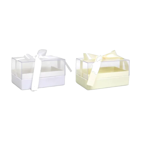 Clear Rectangle Box With Ribbon
