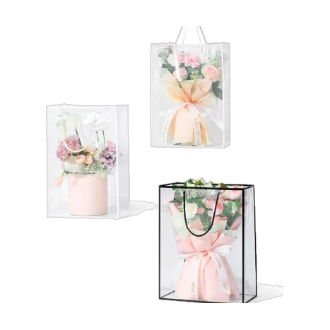 Clear Rectangle Hand Bag