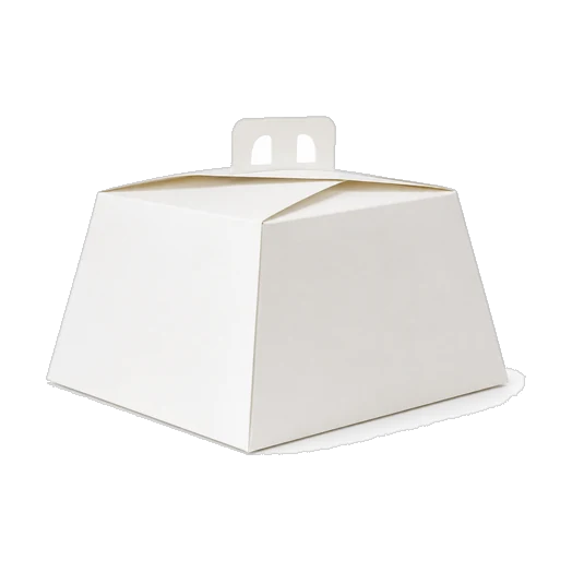 Hexagonal Cake Box