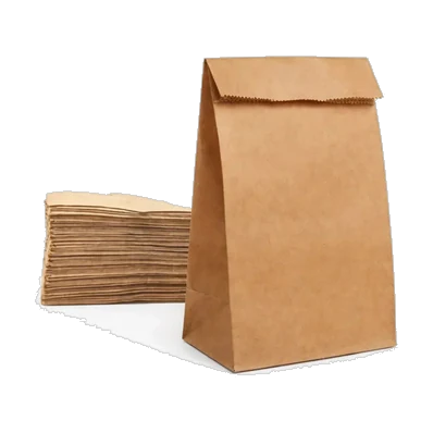 Paper File Bag